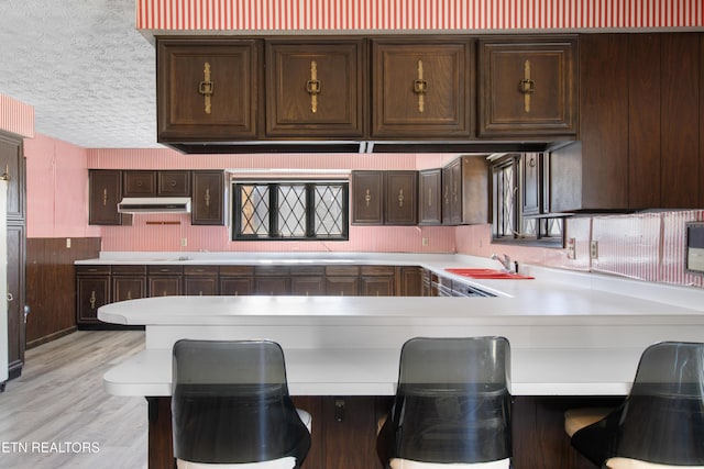 kitchen with light countertops, light wood-style floors, a sink, a textured ceiling, and under cabinet range hood