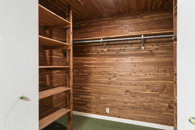 walk in closet featuring carpet flooring