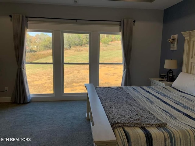 unfurnished bedroom with multiple windows and carpet