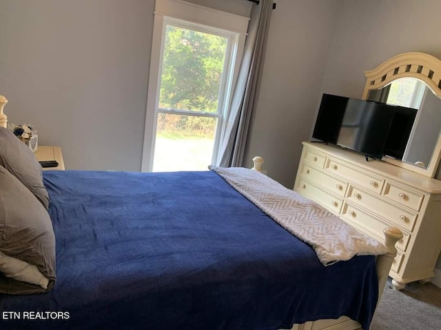 bedroom featuring carpet