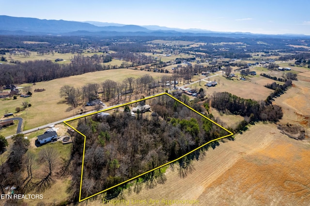 birds eye view of property featuring a rural view and a mountain view