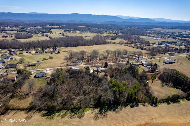 birds eye view of property with a rural view and a mountain view