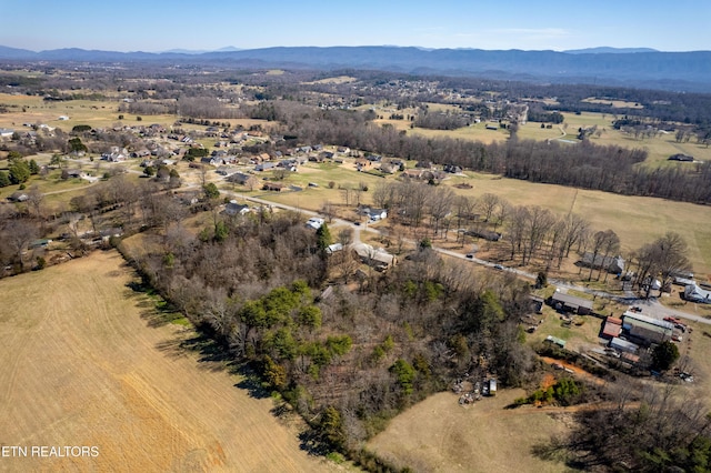 birds eye view of property with a mountain view and a rural view