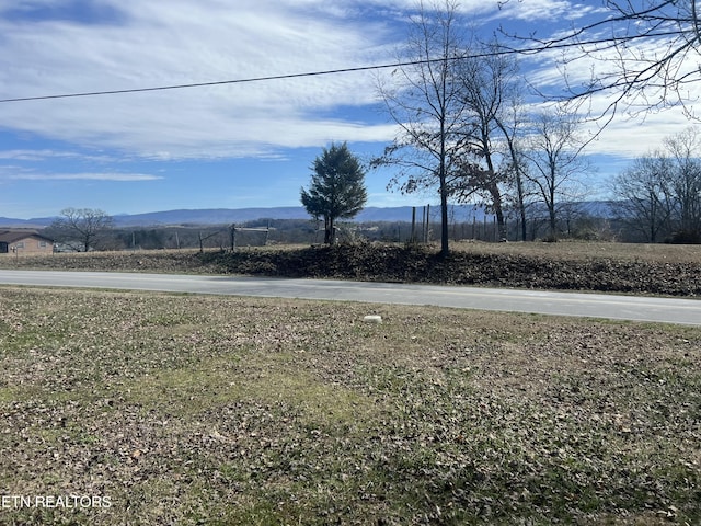 view of yard with a mountain view