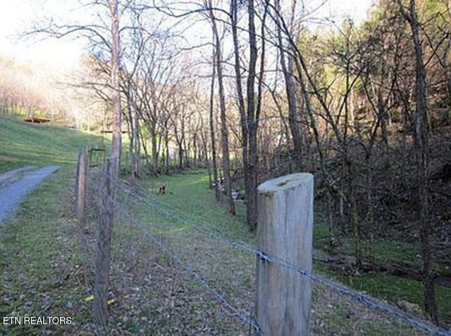 360 Spurlock Hollow Ln, Gainesboro, TN 38562 - view of gate
