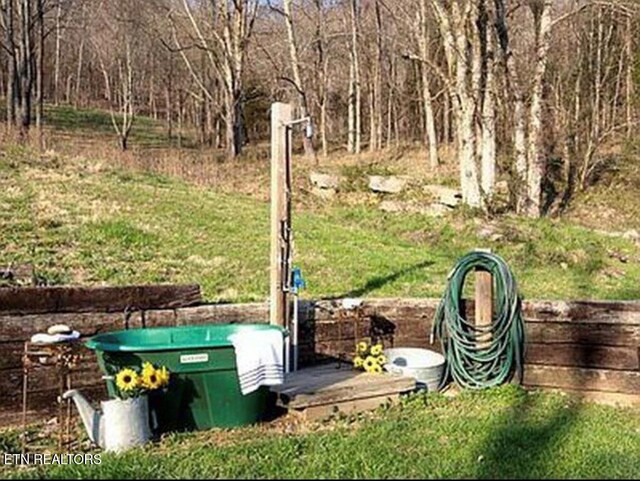 360 Spurlock Hollow Ln, Gainesboro, TN 38562 - view of yard