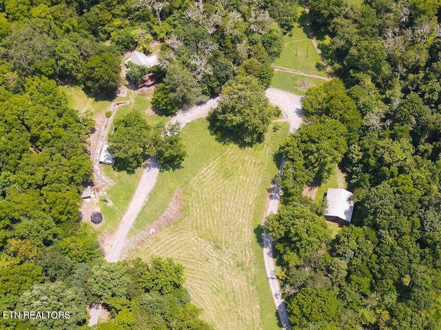 360 Spurlock Hollow Ln, Gainesboro, TN 38562 - aerial view featuring a view of trees