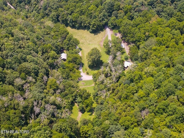 360 Spurlock Hollow Ln, Gainesboro, TN 38562 - birds eye view of property with a wooded view