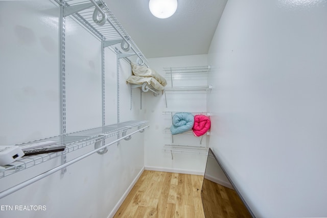 walk in closet with light wood-type flooring