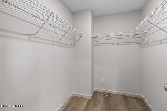 walk in closet with visible vents and wood finished floors