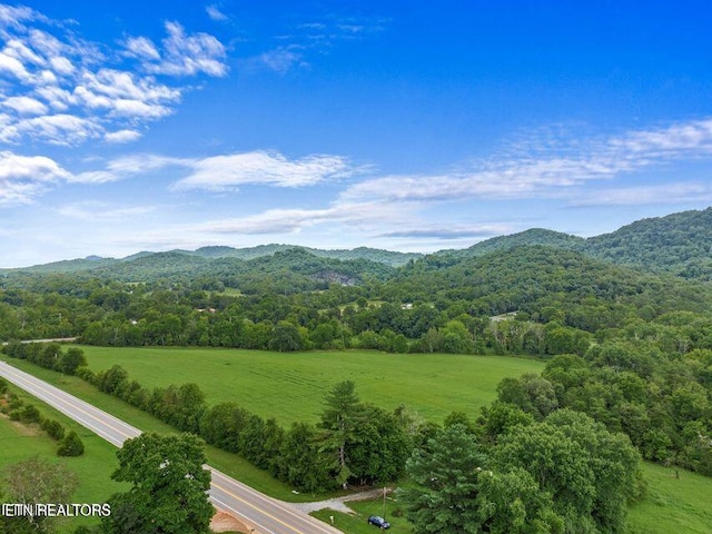 mountain view with a view of trees