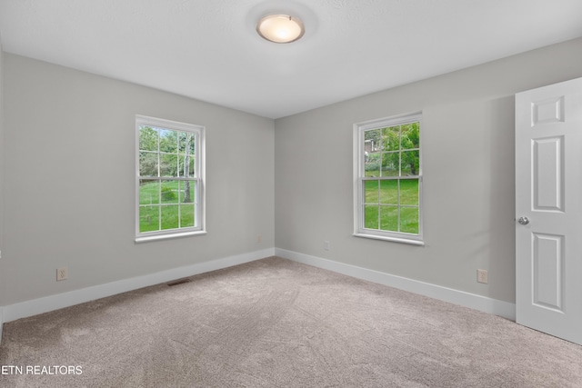 spare room with plenty of natural light, carpet, and visible vents