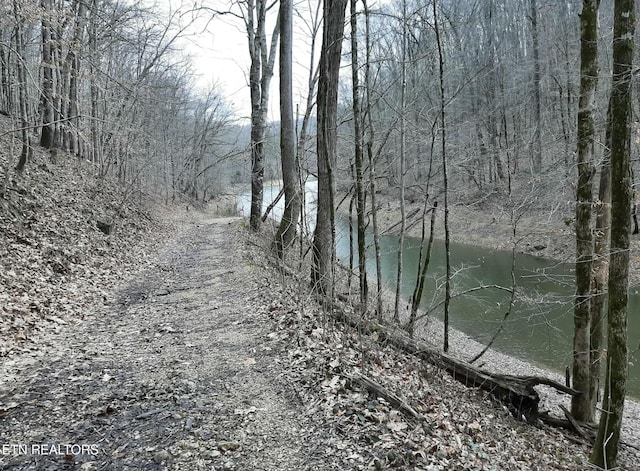 Listing photo 3 for Lake Hollow Ln, Jacksboro TN 37757