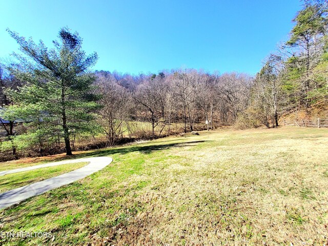 view of yard featuring a forest view