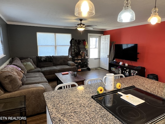 living room featuring ceiling fan and dark wood finished floors