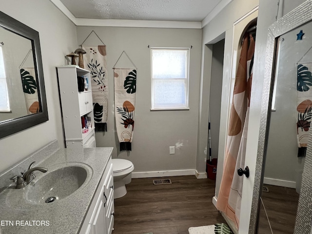 bathroom with a textured ceiling, wood finished floors, vanity, visible vents, and baseboards