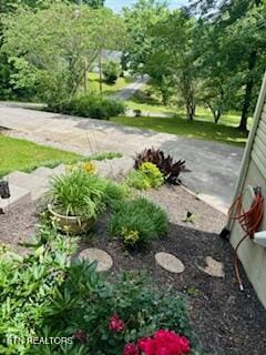 215 Vann Dr, Harriman, TN 37748 - view of yard