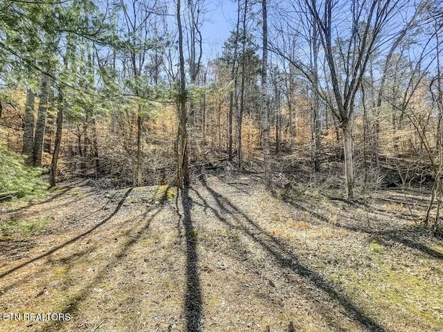 K D Ln, Maynardville TN, 37807 land for sale