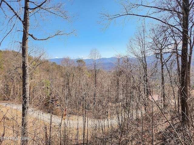 mountain view with a wooded view