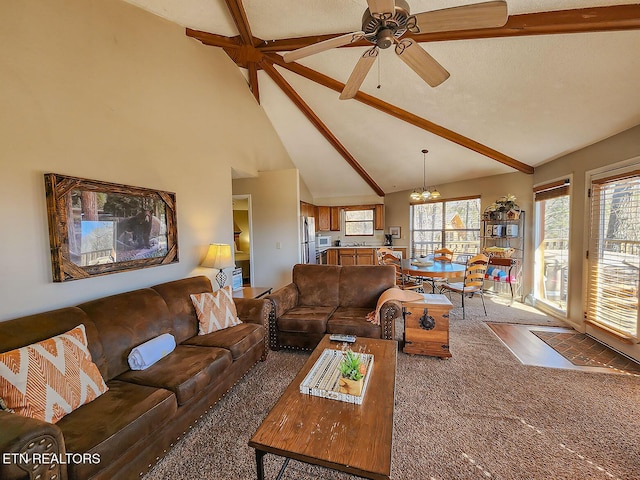 carpeted living area with ceiling fan with notable chandelier, high vaulted ceiling, and beam ceiling