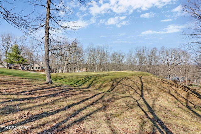 12 Killearn Ct, Crossville, TN 38558 - view of yard