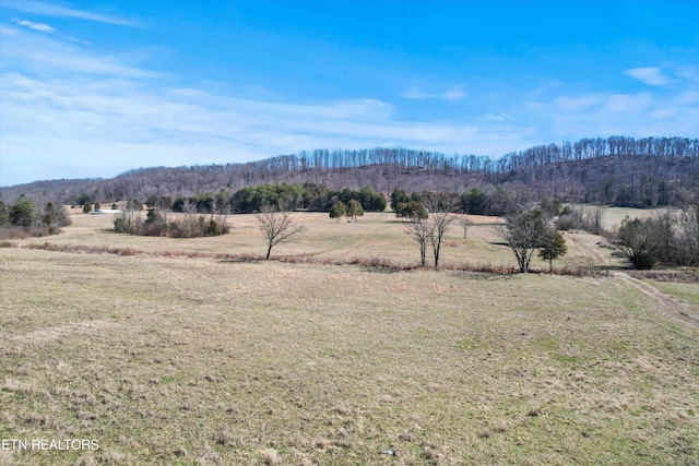 0 Paint Rock Valley Rd, Philadelphia TN, 37846 land for sale