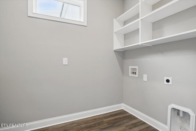 294 Trillium Trl, Lenoir City, TN 37771 - photo 16