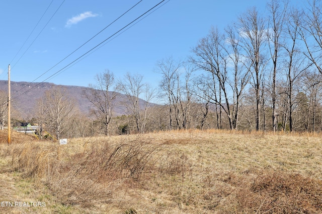 Wagon Ln, Speedwell TN, 37870 land for sale