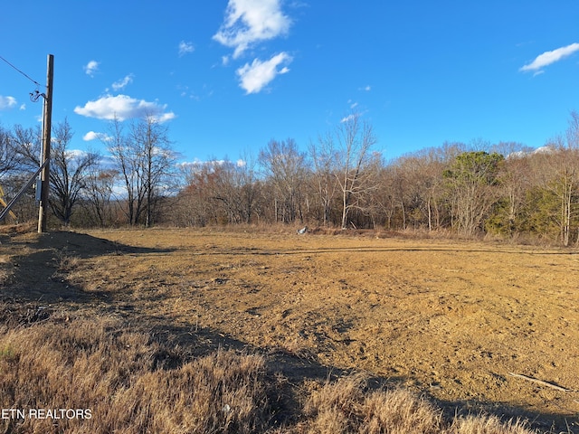 685 Weems Chapel, Mosheim TN, 37818 land for sale