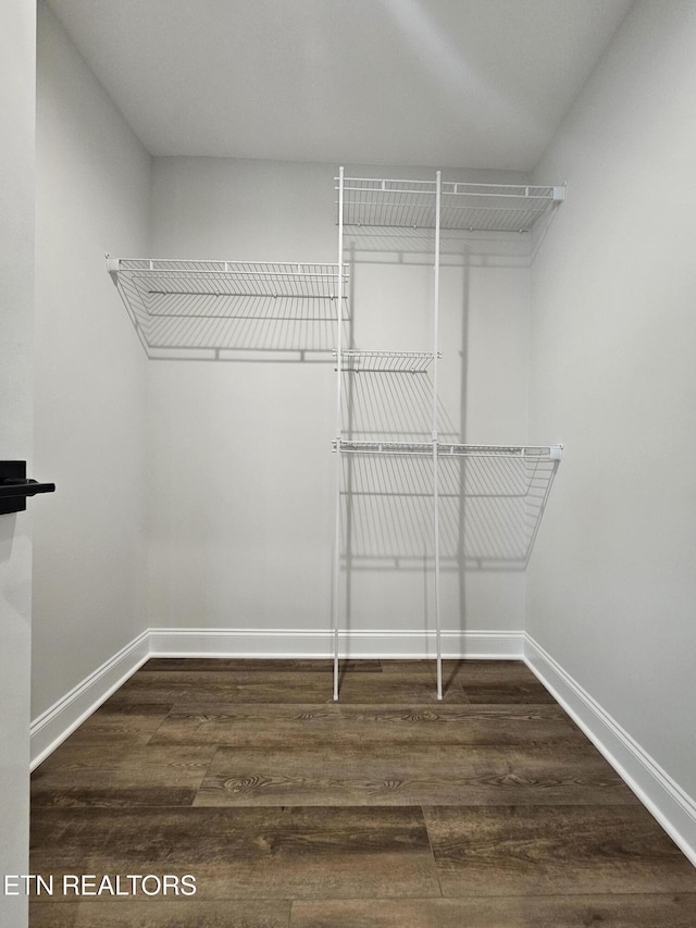 spacious closet featuring wood finished floors