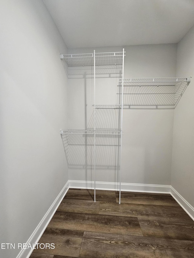 walk in closet with wood finished floors