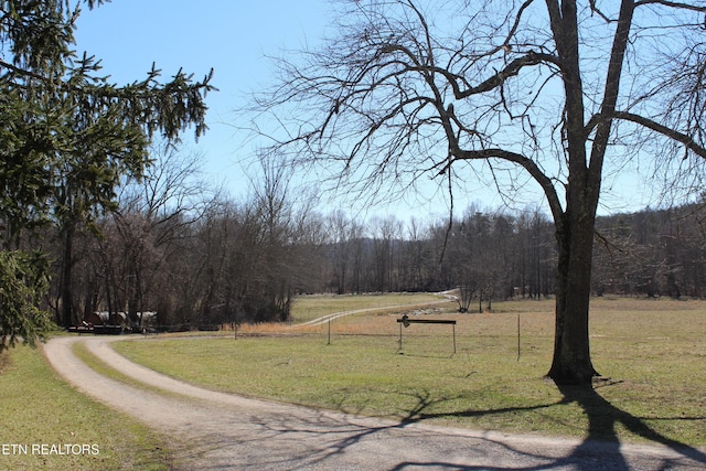 view of road featuring driveway and a wooded view