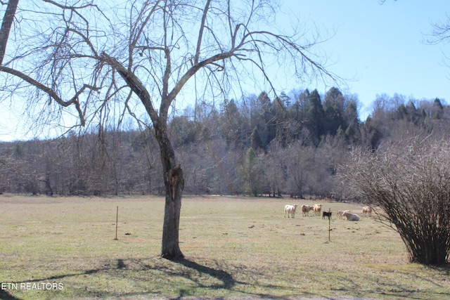 view of landscape with a wooded view