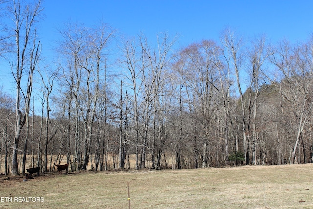 exterior space featuring a wooded view