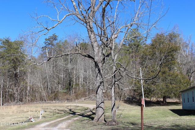 view of yard with a view of trees