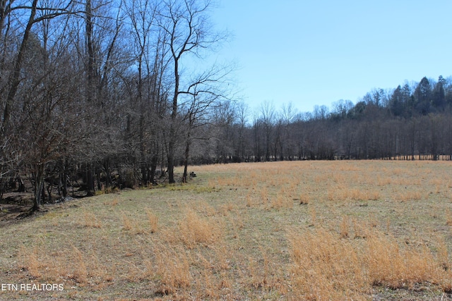 view of local wilderness with a forest view