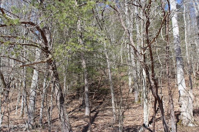 view of local wilderness with a view of trees