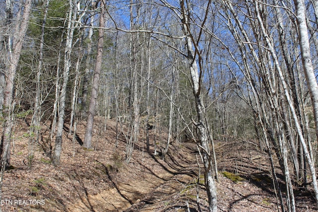 view of local wilderness featuring a view of trees