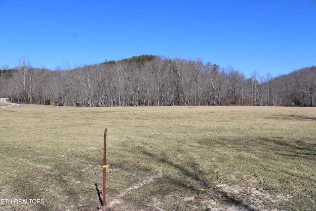 view of yard featuring a view of trees and a rural view