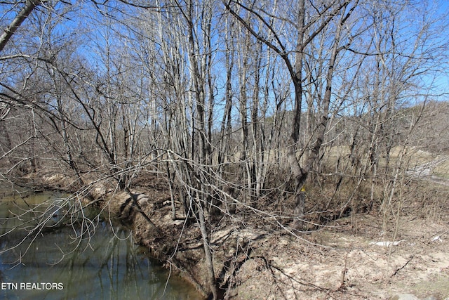 view of local wilderness