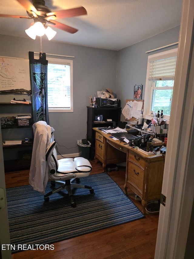 office featuring ceiling fan, a wealth of natural light, and wood finished floors