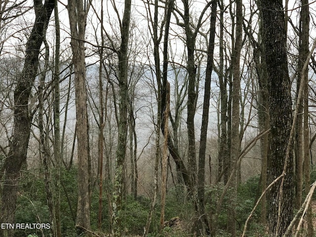 Cumberland Cove Rd, Monterey TN, 38574 land for sale