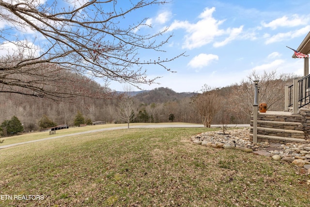 view of yard with a wooded view