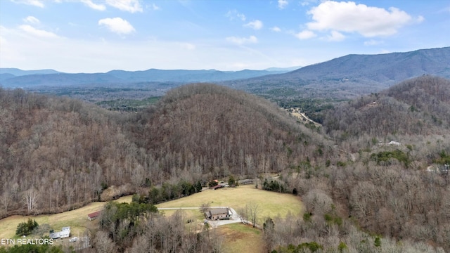 view of mountain feature with a view of trees