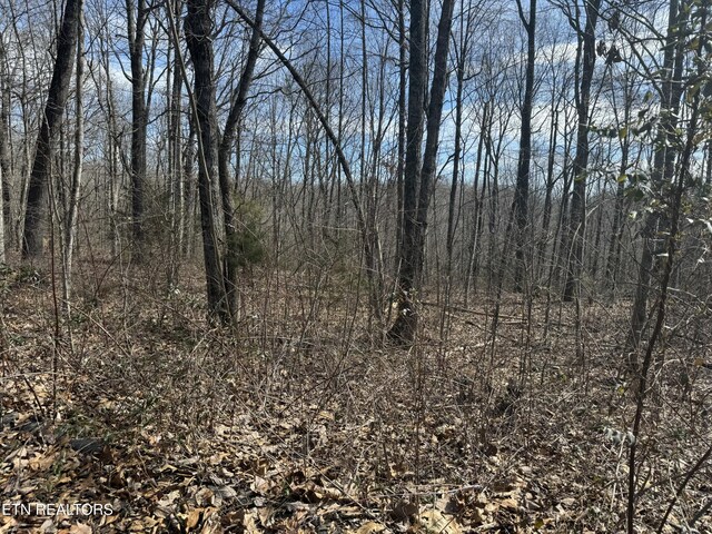 975 County Road 316, Niota, TN 37826 - photo 2