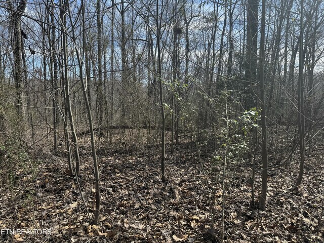 975 County Road 316, Niota, TN 37826 - photo 3