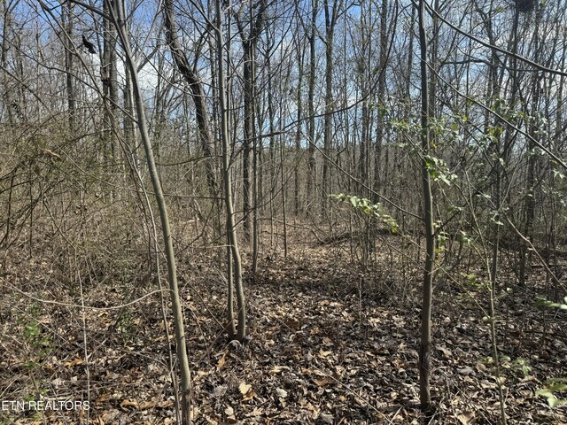 975 County Road 316, Niota, TN 37826 - photo 4