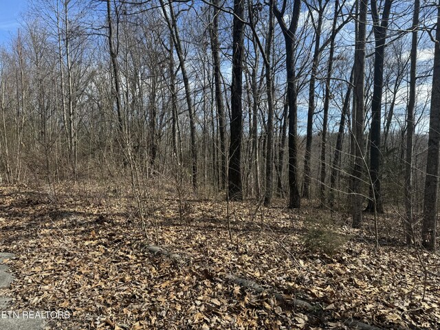 975 County Road 316, Niota, TN 37826 - photo 5
