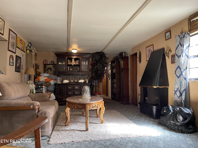 living room with carpet floors