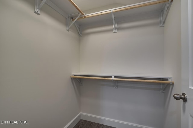 spacious closet featuring dark wood-type flooring